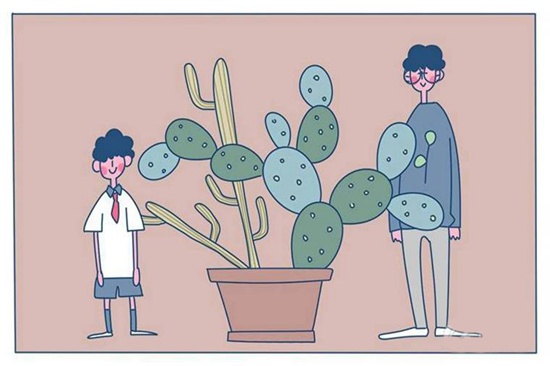 甘肃省卫生学校2026年招生专业有哪些