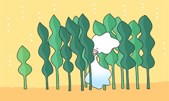 定远县四方职业技术学校2026年招生简介