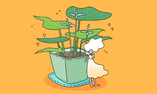 北京市海淀区卫生学校2026年招生简介